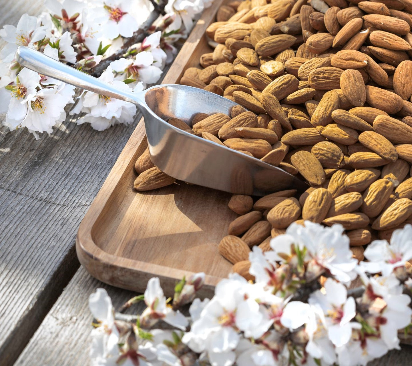 le-chant-des-amandes-producer-portrait - Céline en Provence