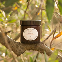 Joséphine Ansouis scented candle 50g with black lid on an olive branch, Senteurs du Luberon, golden light, Provence
