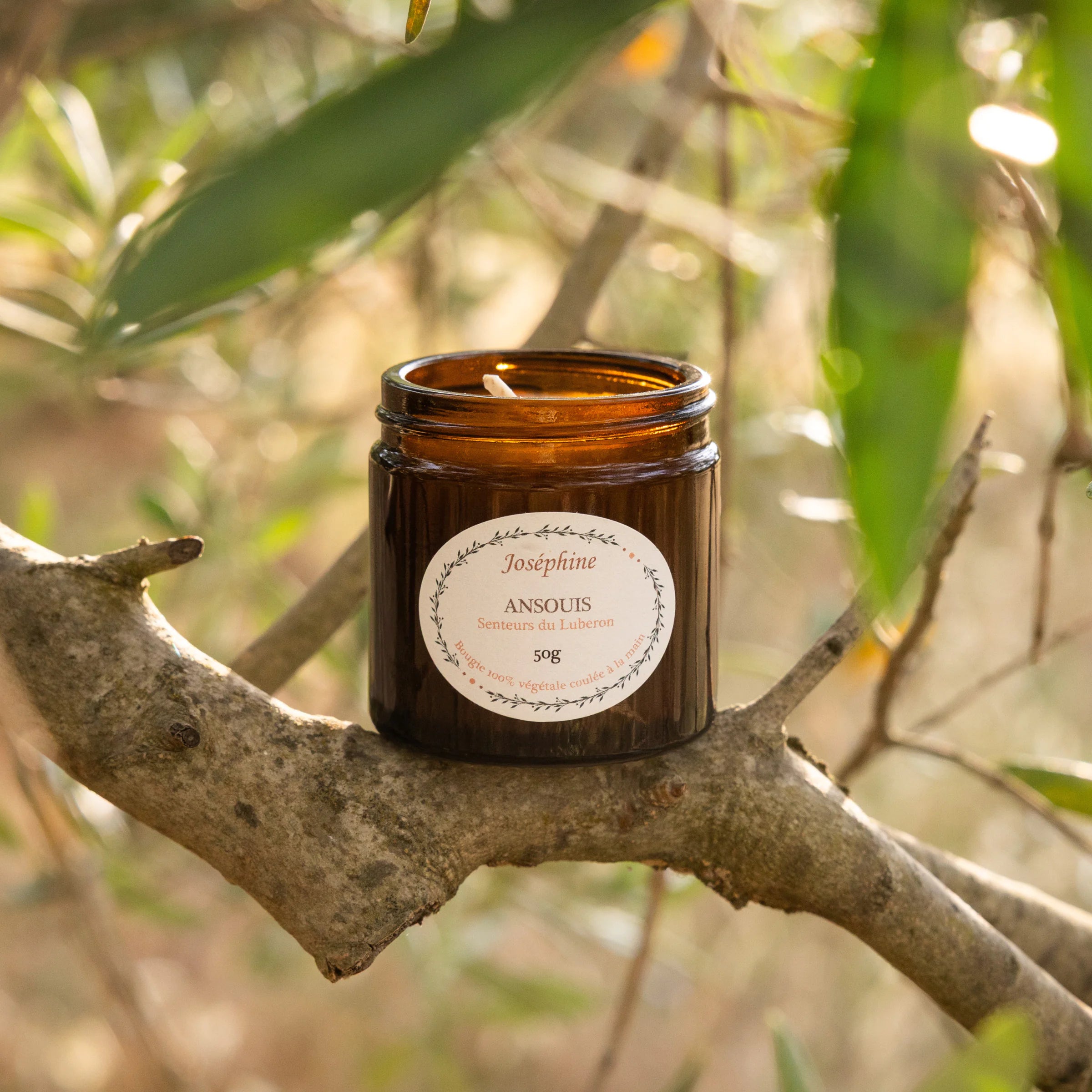 Joséphine Ansouis scented candle 50g open in amber glass jar balanced on an olive branch, Senteurs du Luberon, Provence