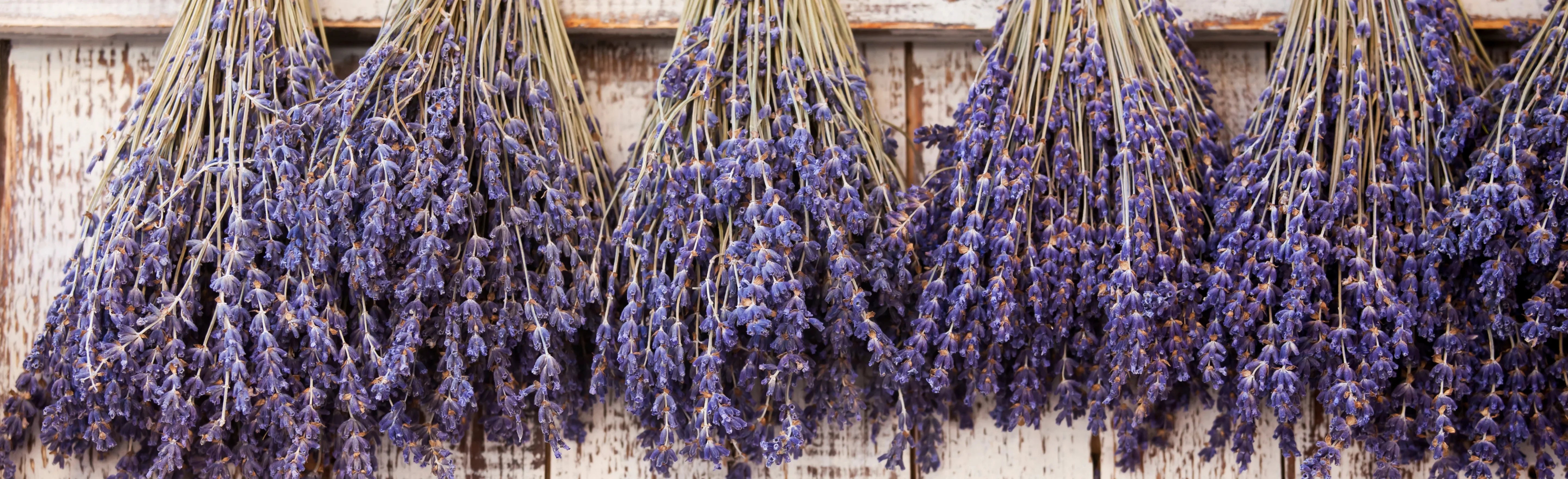 create-your-provencal-moment-banner - Céline en Provence
