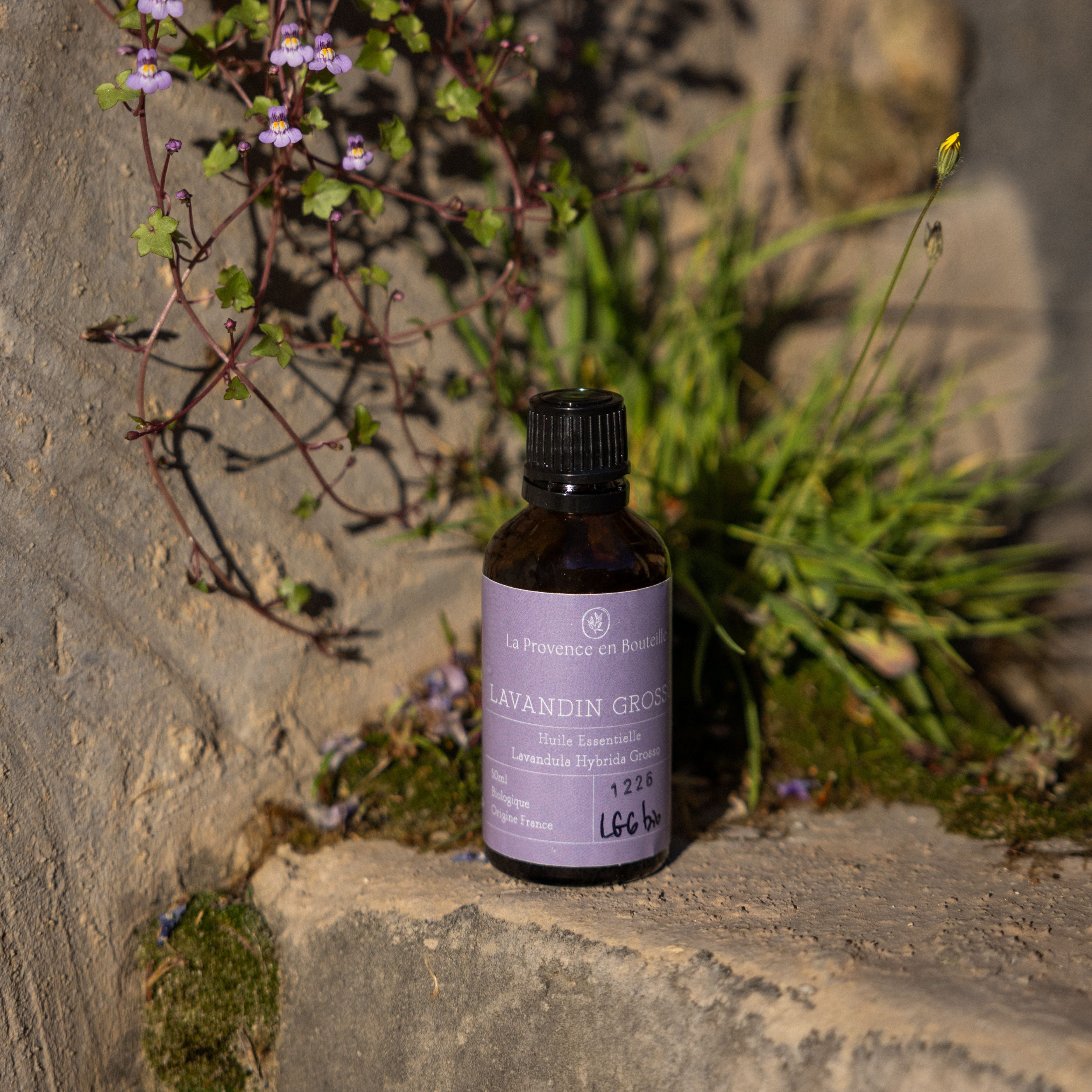 A bottle of organic Lavandin Grosso essential oil from Provence, with a bold and relaxing lavender scent.
