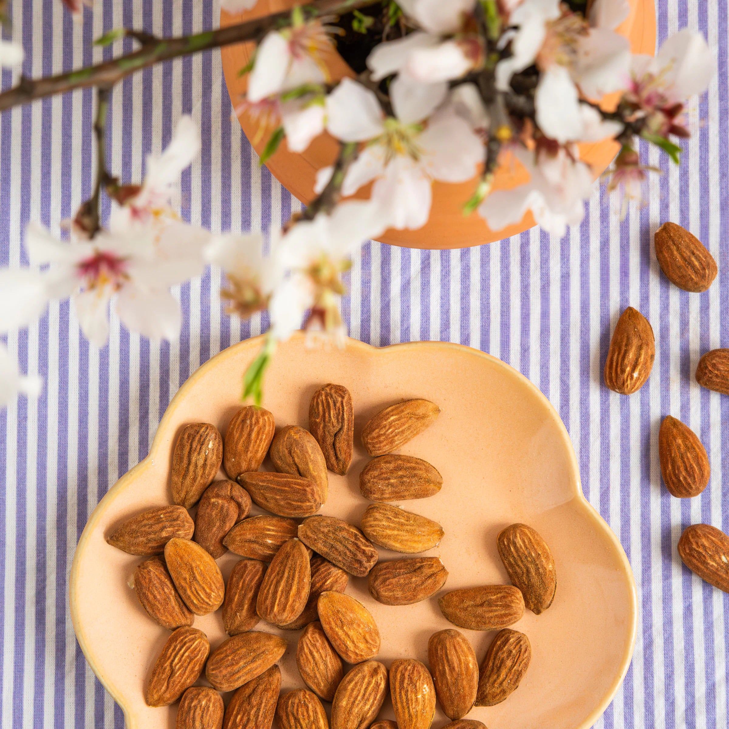 Le Chant des Amandes grilled almonds bag from Provence with almond blossom and terracotta vase