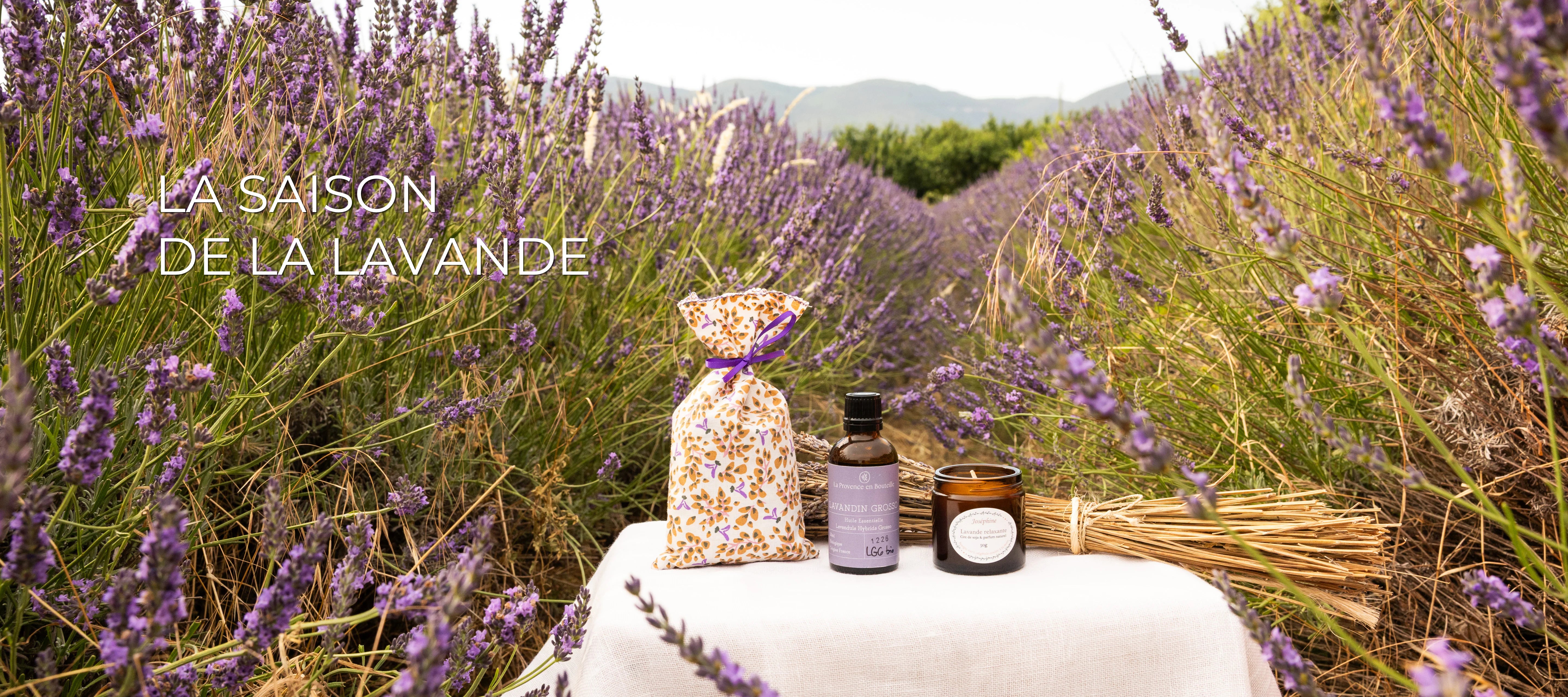La Saison de la Lavande avec pochon de lavande, huile essentielle Lavandin Grosso et bougie lavande sur table en lin dans un champ de lavande provençal