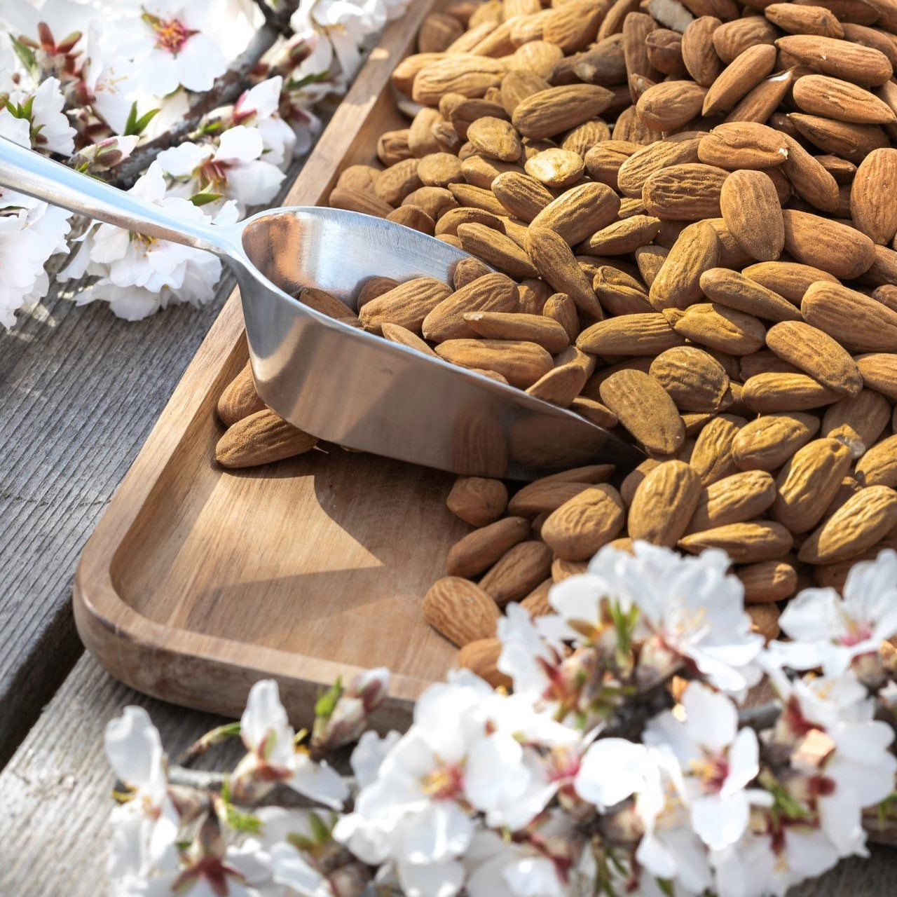 le-chant-des-amandes-producer-portrait-mobile - Céline en Provence
