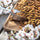 le-chant-des-amandes-producer-portrait-mobile - Céline en Provence
