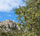 moulin-castelas-producer-portrait - Céline en Provence