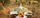 A Summer to Savour, Provençal outdoor table under olive trees with seasonal produce, Céline en Provence Summer Collection