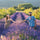 provence-en-bouteille-producer-portrait-mobile - Céline en Provence