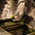provence-tranquility-gateway - Céline en Provence