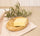 sapernelle-olive-soap-perfect-pairing-bath-ritual - Céline en Provence