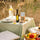 The Summer Table collection with lemon olive oil, Fleur de Sel, black tapenade and Provence herbs on an outdoor sage green table with seasonal vegetables, Provence